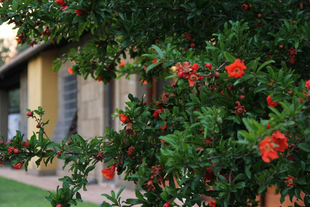 Al Vecchio Fontanile Bed & Breakfast 3*